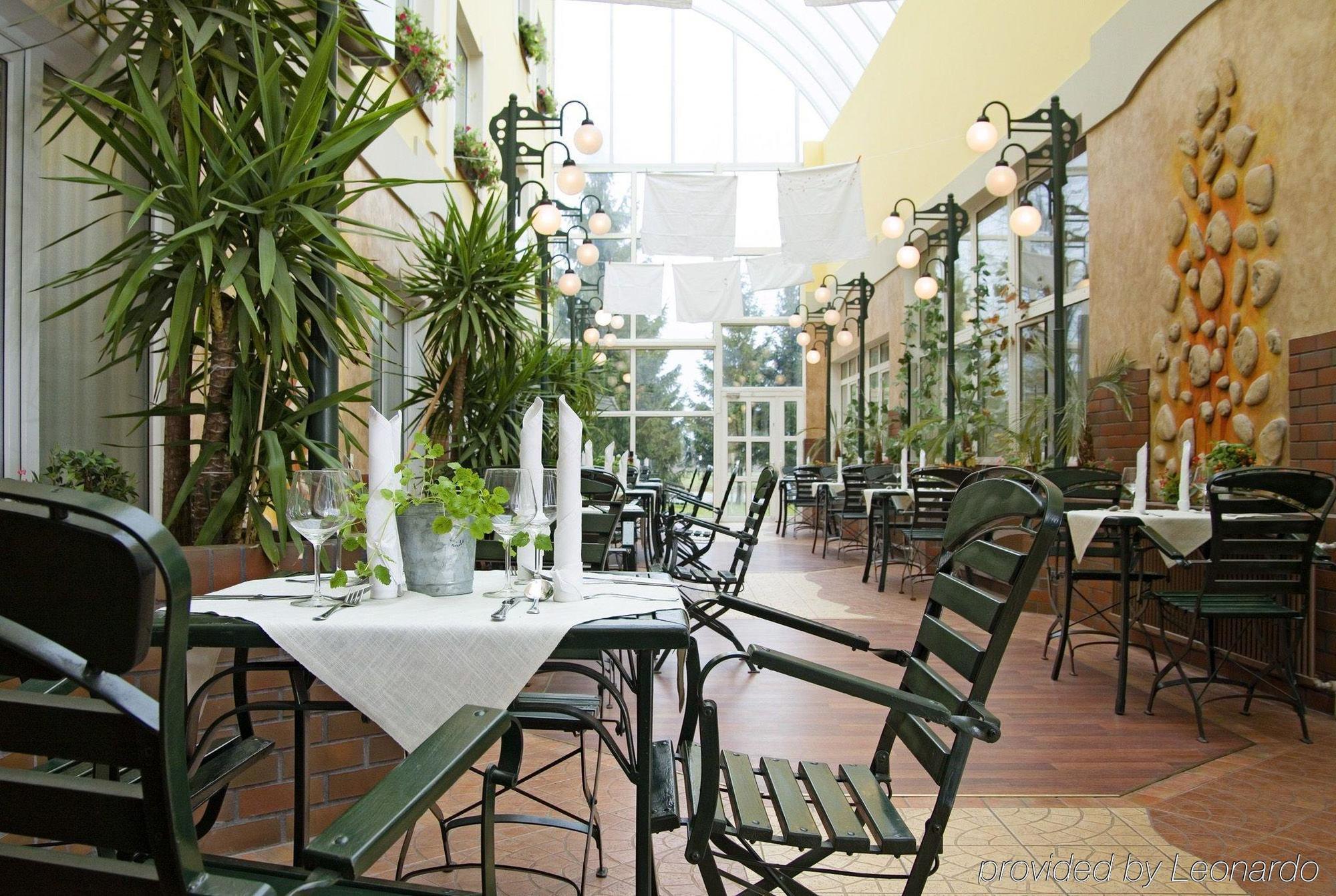 Park Hotel Tryszczyn Restaurace fotografie